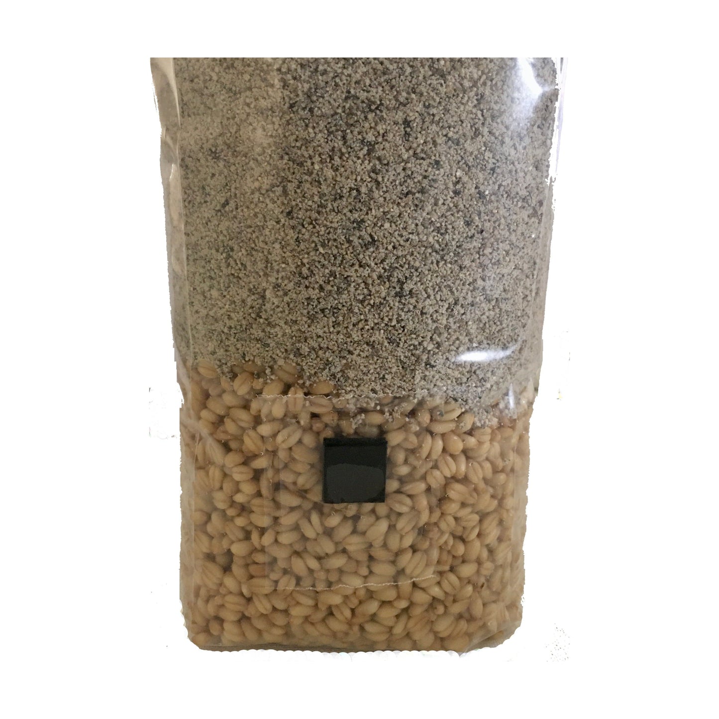 Brown Rice Flour & Wheat Berry All-In-One Mushroom Grow Bag Closeup