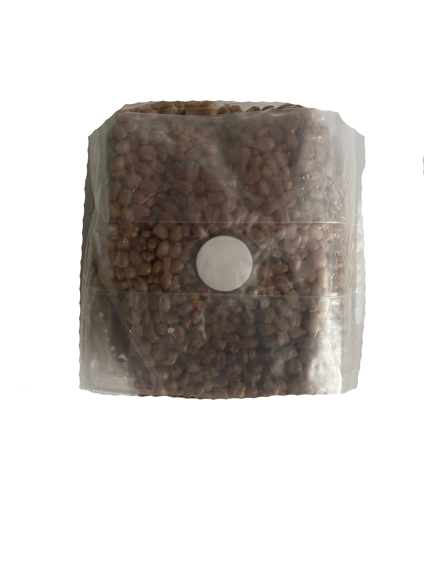 Master Grain Spawn Bags with Injection Ports (4 lb)