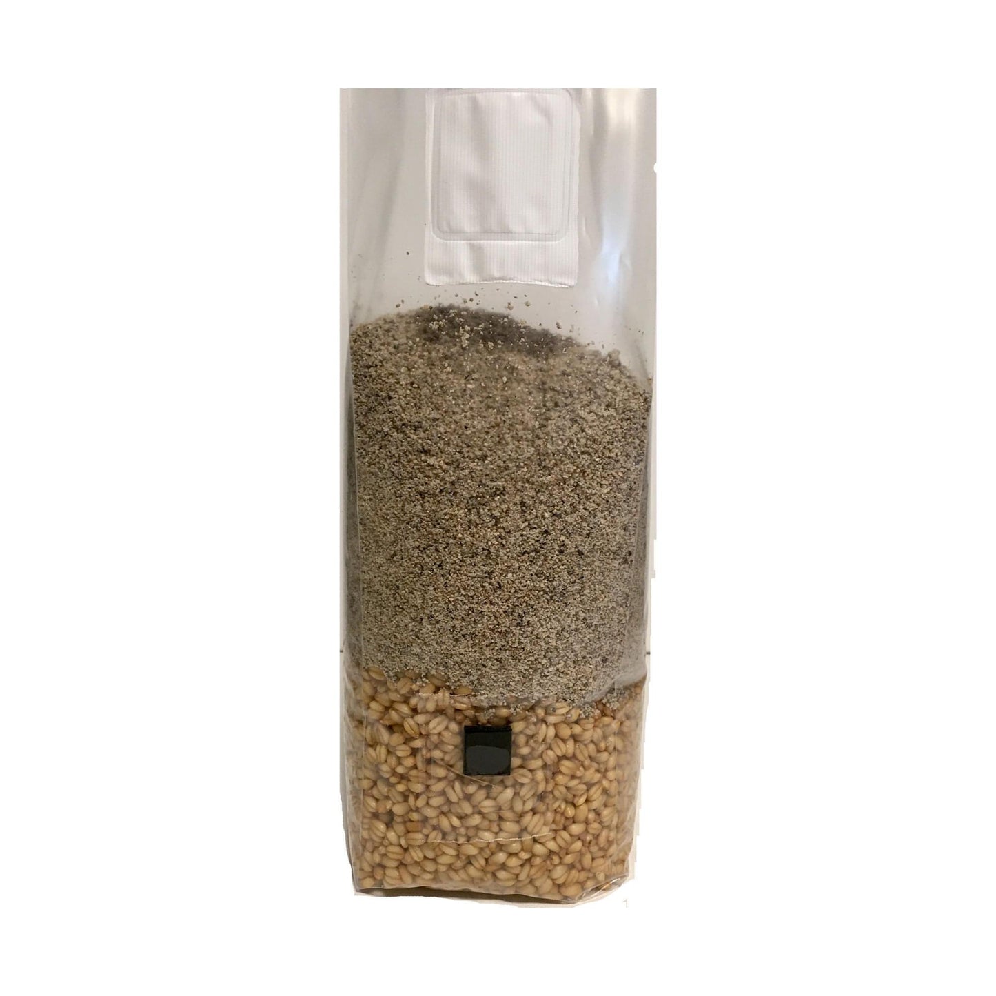 Brown Rice Flour & Wheat Berry All-In-One Mushroom Grow Bag