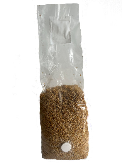 2 pound bag of millet mushroom spawn