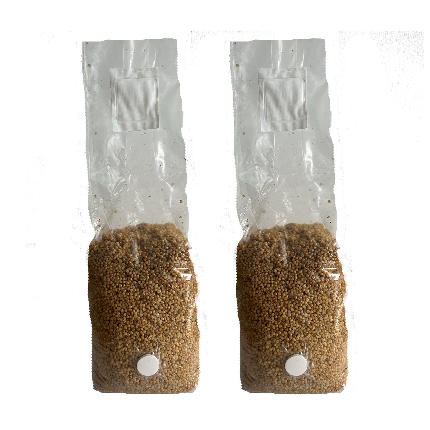 sterile millet for making mushroom spawn