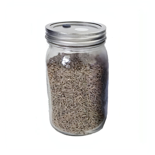 Rye Berry Grain Spawn Jar 1 Qt = 1 Pd. Sterile, self healing injection port and .22 micron sythetic filter